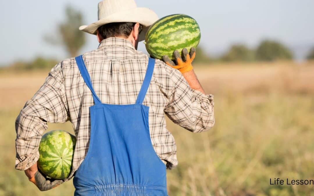 The Watermelon Lesson: Learning What’s Right from a Farmer’s Field